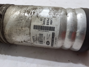 Land Rover Range Rover IV (2012–2026) Stoßdämpfer vorne DPLA3C286AJ - 2