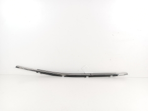 Rear side door outer window molding