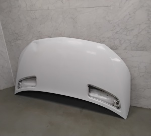 Hood - A9108870200