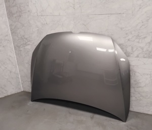 Hood - 5G023155
