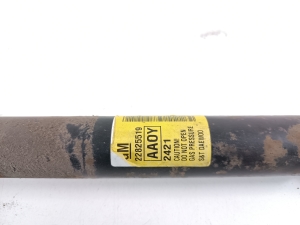Opel Ampera I (2011–2015) Rear shock absorber 22825519 - 2
