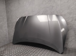 Hood and its parts - F51005SHMA