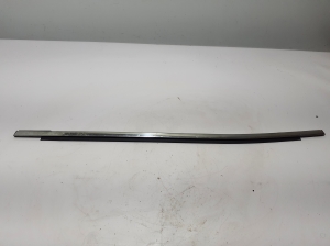 Rear side door outer window molding - 828214852R