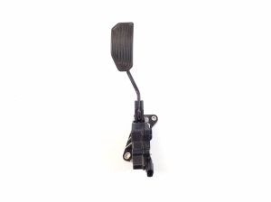   Accelerator pedal  - 7811033011 