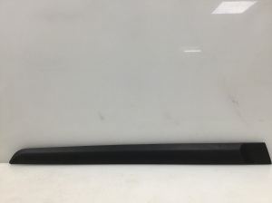 Rear side door molding - 