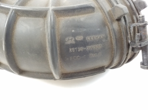 Hyundai Santa Fe (2012–2018) Luftansaugschlauch 281302W300 - 3