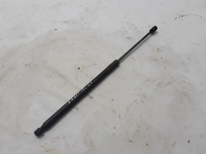 Ford Ranger (2015–2026) Hood prop/gas strut EB3B16C827AA - 2