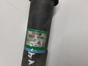 TOYOTA RAV 4 A4 (2012–2018) Stoßdämpfer hinten 4853142460 - 4