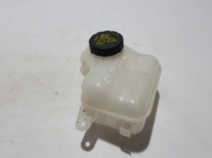 MG, ZS II (2017–2026) Coolant reservoir 10237071 - 2