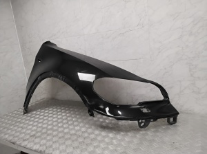 BMW X5 E70 (2006–2013) Front fender 7222976 - 8