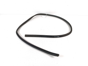 Opel Vivaro C (2019–2026) Front door rubber seal - 2