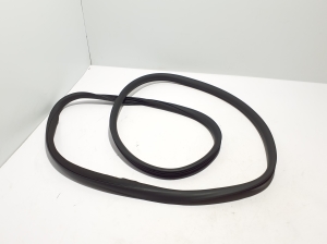 Front door rubber seal - 9818018380