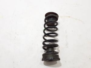 Rear spring - 