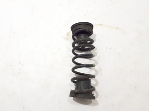 Rear spring - 