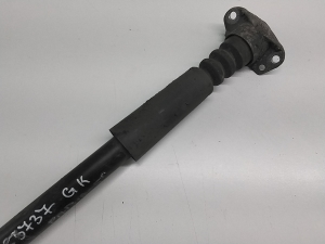 Skoda Fabia MK 3 (2014–2021) Stoßdämpfer hinten 6C0513025AK - 2
