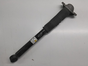 Stoßdämpfer hinten - D10055300F1000