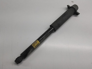 Opel Zafira C (2011–2026) Stoßdämpfer hinten 13419902 - 3