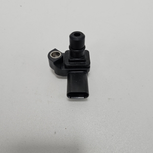 Ansaugluftdrucksensor - 55573249