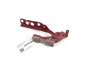   Hood hinge  -  