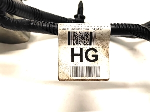 Ford Ranger (2015–2026) Engine wiring harness EB3T12B637HG - 2