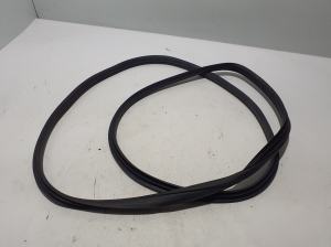   Front door rubber seal  - 10229790 