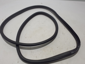   Rear side door seal on the door  - 10229793 