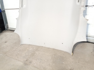 RENAULT Kadjar (2015–2026) Dachhimmel 739100275R - 5