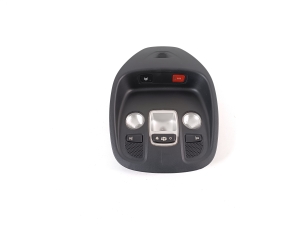   Front interior lighting panel  - 96715638ZD 