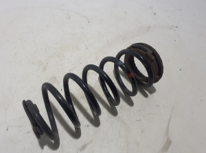   Feder hinten  - 11144097 