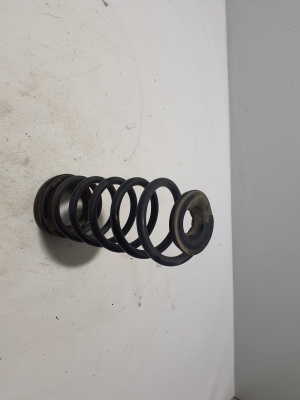 MG, ZS II (2017–2026) Rear spring 11144097 - 3