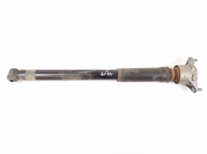 Rear shock absorber - A2463202131