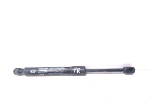 Hood prop/gas strut - 81161C5000