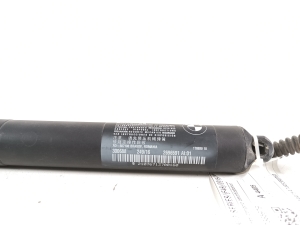 BMW 2 SERIES (F46) (2015–2026) Trunk lid strut 51247365979 - 2