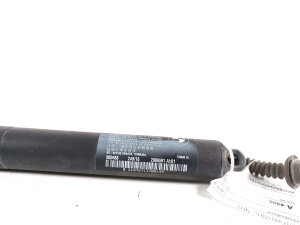 BMW 2 SERIES (F46) (2015–2026) Tagaluugi amortisaator 51247365979 - 2