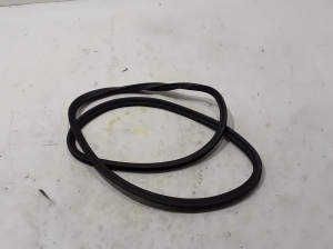 BMW 5 SERIES G30 (2016–2026) Tagumise küljeukse tihend uksel 7468732 - 2