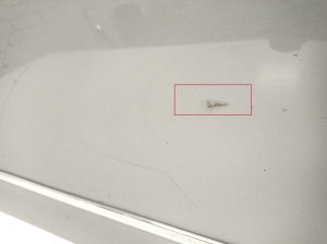 Mercedes Benz C-Class 204 (2007–2014) Tür hinten - 6