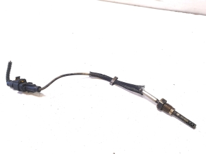 Abgastemperatursensor - FGP55355404