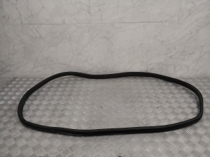Rear side door seal on the door - A2136970251