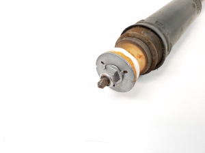 Mercedes Benz SLK-Class 172 (2011–2026) Stoßdämpfer hinten A1723230098 - 2