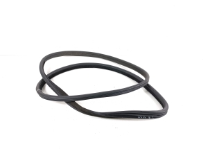 BMW X6 E71 (2008–2014) Front door rubber seal 7333807 - 2