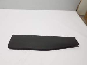   Rear side door strip 
