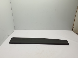   Front door strip 