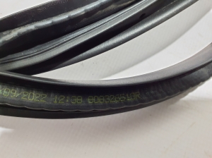 RENAULT Megane E-Tech CMF-EV (2022–2026) Front door rubber seal 808326510R - 2