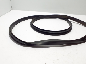 RENAULT Megane E-Tech CMF-EV (2022–2026) Türdichtung der Vordertüren 808326510R - 3