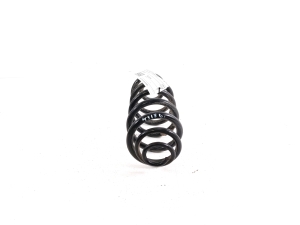 BMW X6 E71 (2008–2014) Rear spring 6783007 - 2