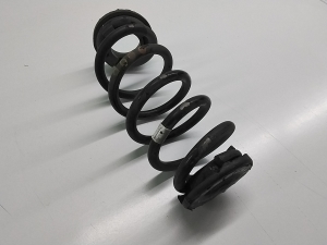 Rear spring - 505335020
