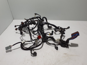 Engine wiring harness - 9837567680