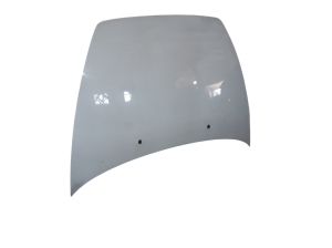 Motorhaube - 31371415