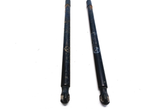 Ford C-MAX (2010–2026) Trunk lid strut AM51U406A10AF - 2
