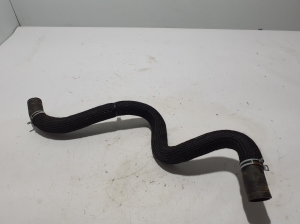 Radiator hose - 215018322R